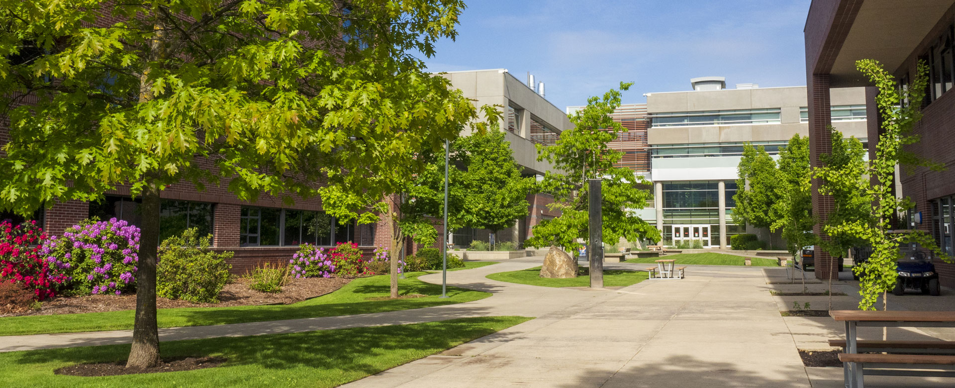 A view of UBC Okanagan's Arts and Sciences building with greenery along the path.